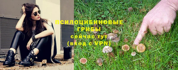 герыч Бугульма