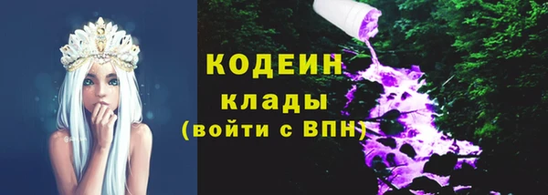 МДПВ Бородино