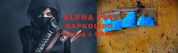 МДПВ Бородино