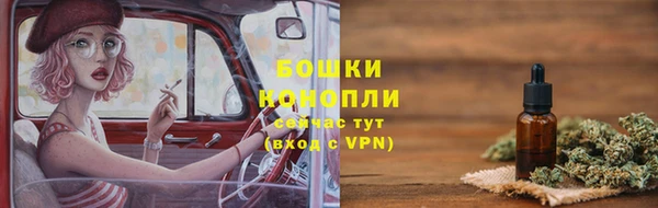 МДПВ Бородино
