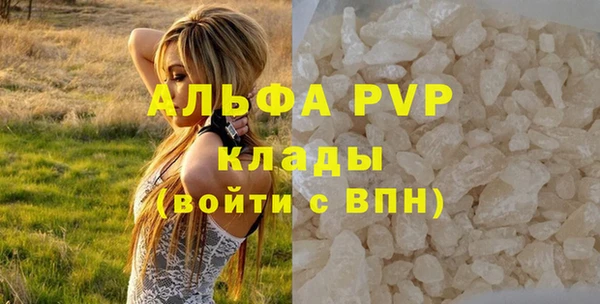 МДПВ Бородино