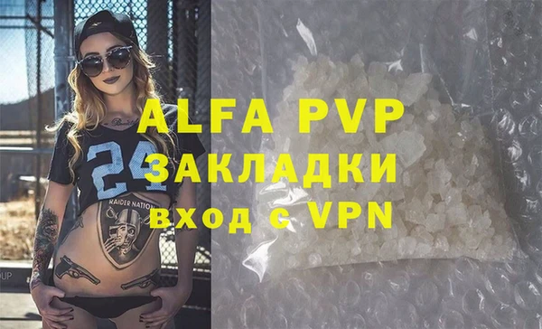 МДПВ Бородино