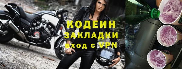 МДПВ Бородино