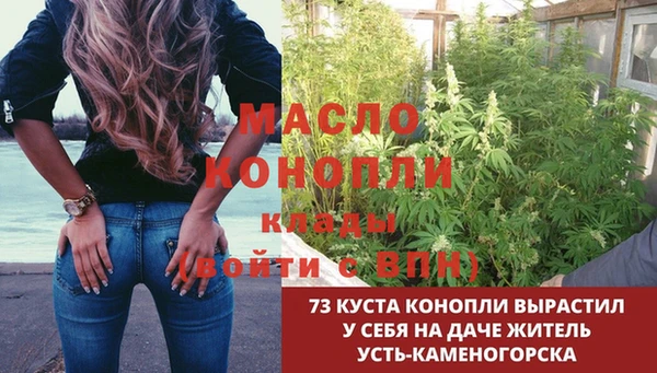 МДПВ Бородино