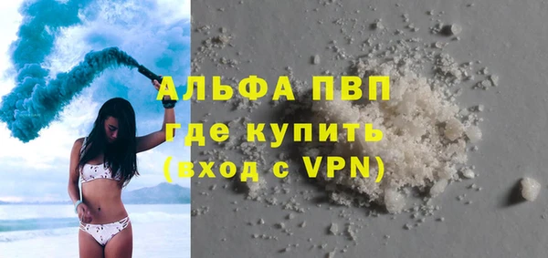 МДПВ Бородино