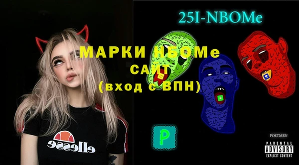 МДПВ Бородино